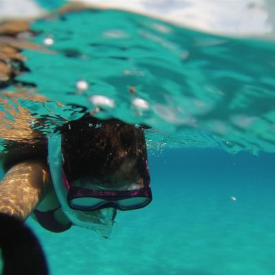 Snorkelling In Corsica